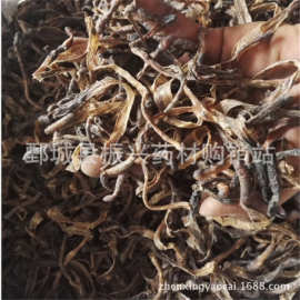 蟲(chóng)類藥材在藥品批發(fā)中的價(jià)值與挑戰(zhàn)